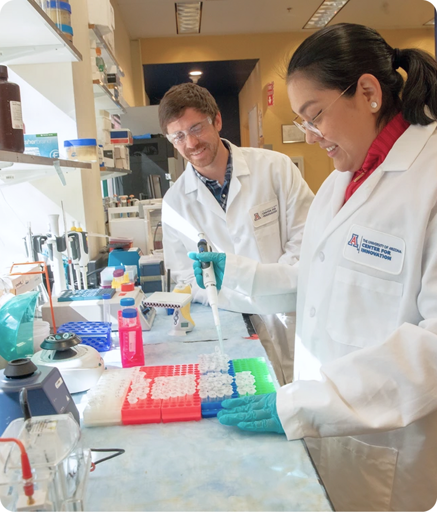Researchers working in the lab