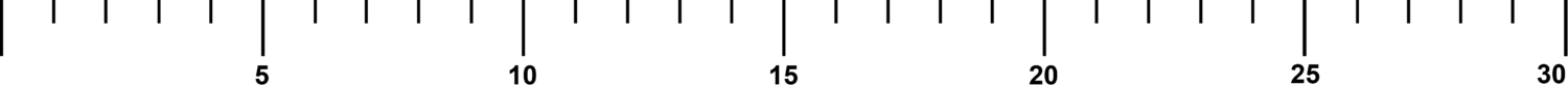 Ruler